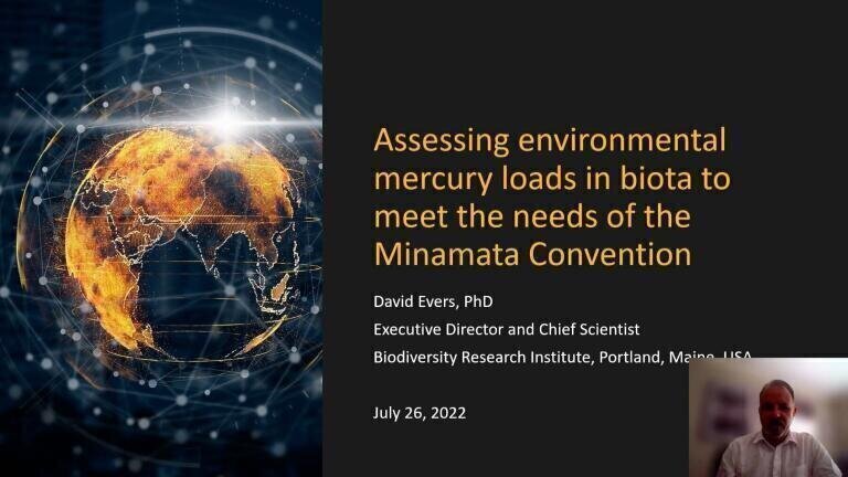 Assessing environmental mercury loads in biota to meet the needs of the Minamata Convention